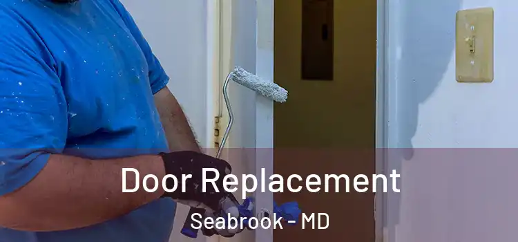  Door Replacement Seabrook - MD