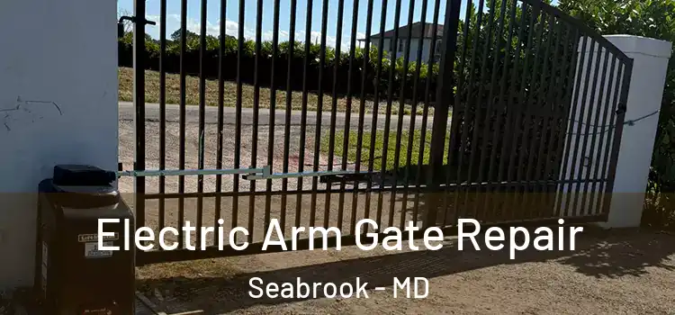  Electric Arm Gate Repair Seabrook - MD