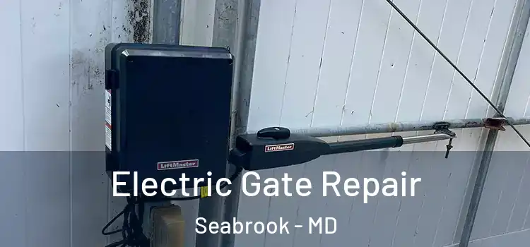  Electric Gate Repair Seabrook - MD