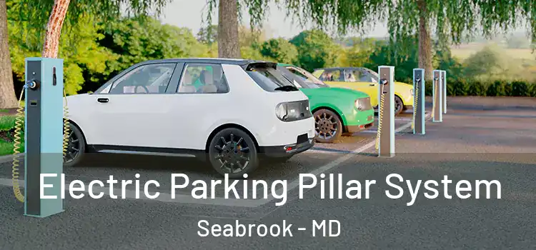  Electric Parking Pillar System Seabrook - MD