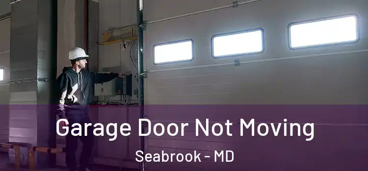  Garage Door Not Moving Seabrook - MD