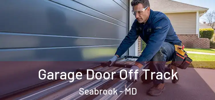 Garage Door Off Track Seabrook - MD