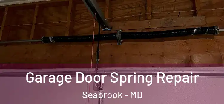  Garage Door Spring Repair Seabrook - MD