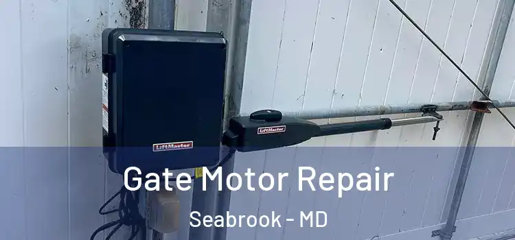  Gate Motor Repair Seabrook - MD