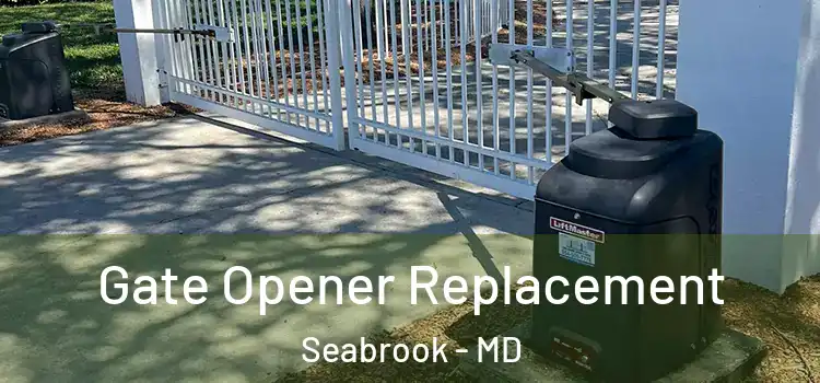 Gate Opener Replacement Seabrook - MD
