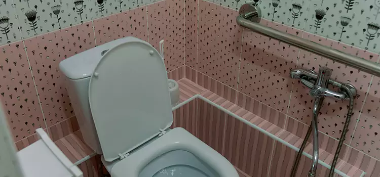 Meeting Diverse Needs With Accessible Restroom Solutions in Seabrook, MD