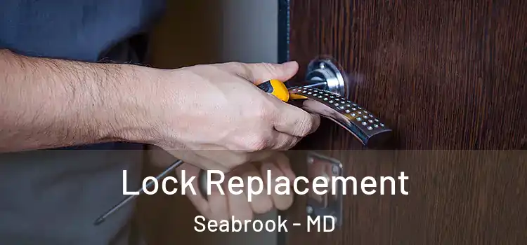  Lock Replacement Seabrook - MD