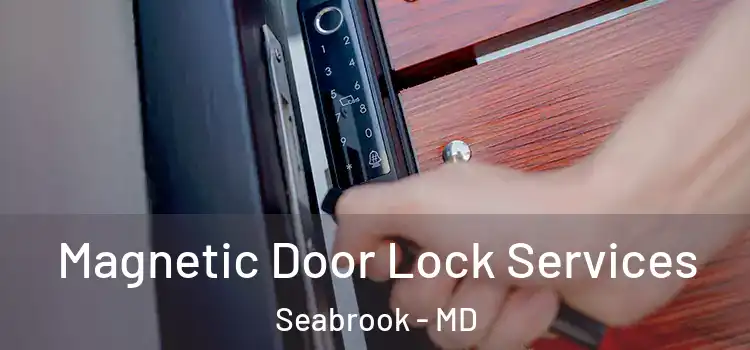  Magnetic Door Lock Services Seabrook - MD