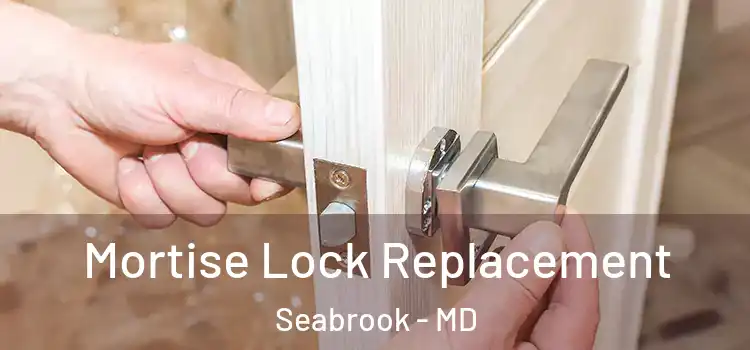 Mortise Lock Replacement Seabrook - MD