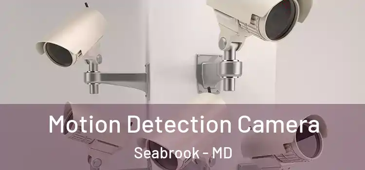  Motion Detection Camera Seabrook - MD