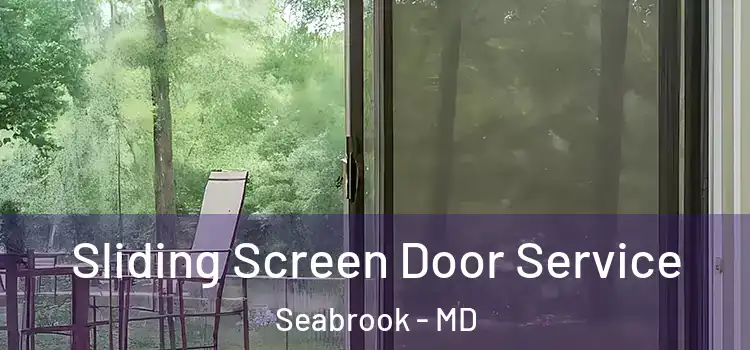  Sliding Screen Door Service Seabrook - MD
